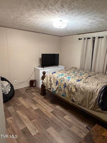 249 Dabeej Drive, Mooresburg, TN 37811