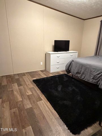 249 Dabeej Drive, Mooresburg, TN 37811