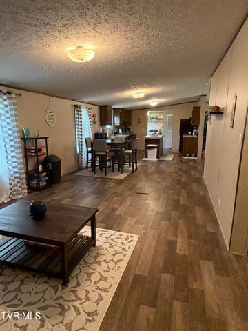 249 Dabeej Drive, Mooresburg, TN 37811