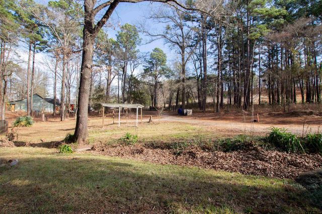 11501 CR 3424, Brownsboro, TX 75756