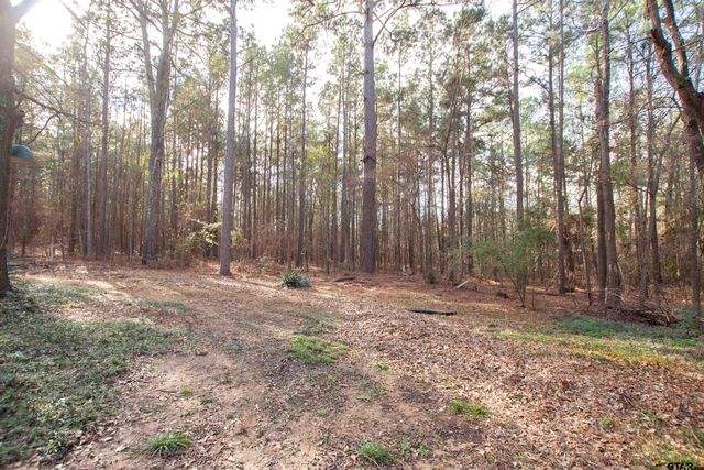 11501 CR 3424, Brownsboro, TX 75756