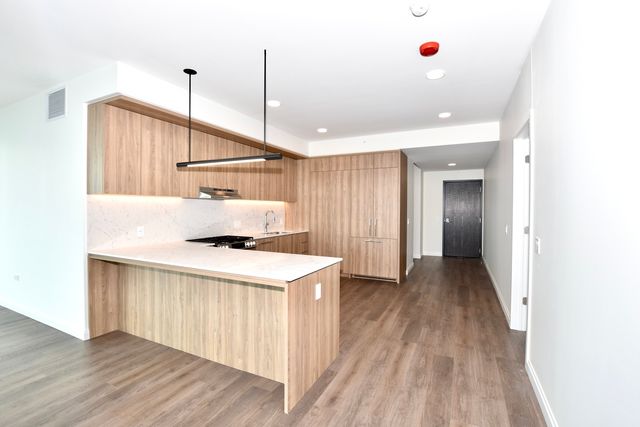 1000 S Michigan Avenue 6206, Chicago, IL 60605