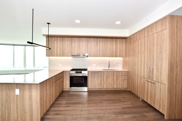 1000 S Michigan Avenue 6206, Chicago, IL 60605