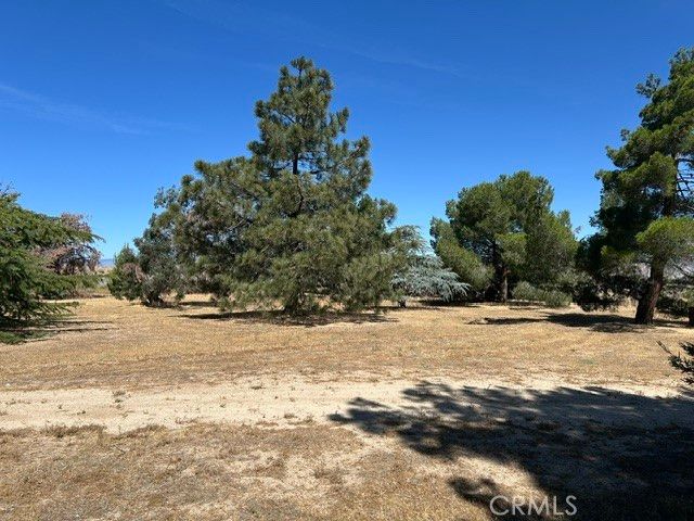 25354 Divinci Avenue, Lancaster, CA 93536