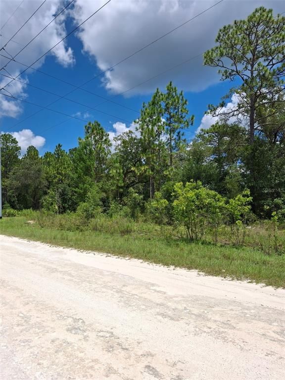 14020 CEDARWOOD AVENUE, Weeki Wachee, FL 34614