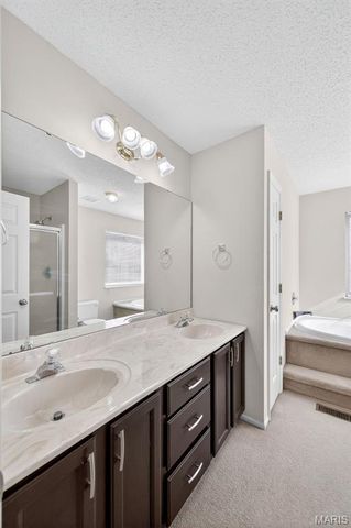 1055 Treeshade Drive, St Peters, MO 63376