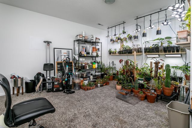 4617-4619 PIERRE ST, Columbia, MO 65202