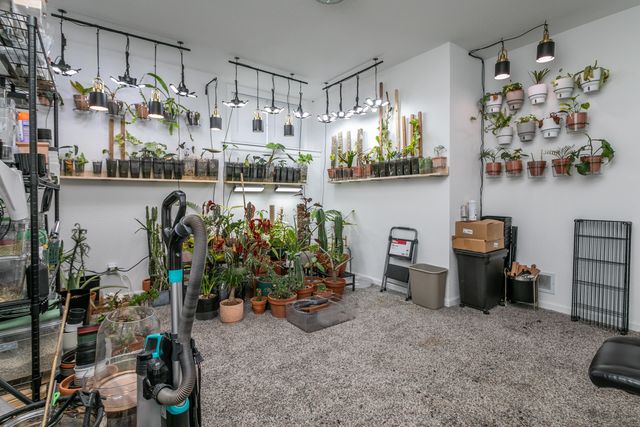 4617-4619 PIERRE ST, Columbia, MO 65202