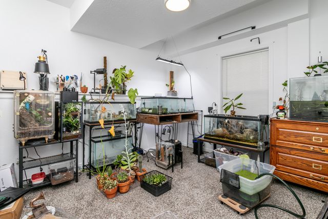 4617-4619 PIERRE ST, Columbia, MO 65202