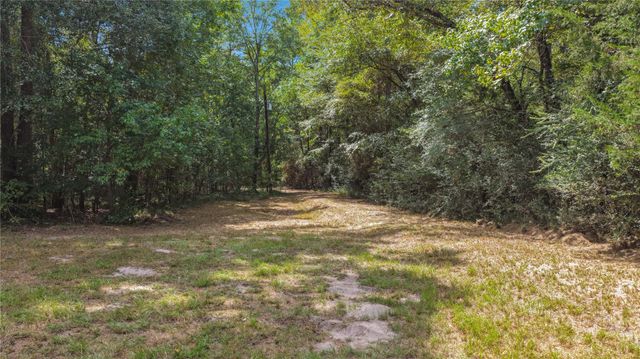 1215 Trinlady Park Road, Trinity, TX 75862