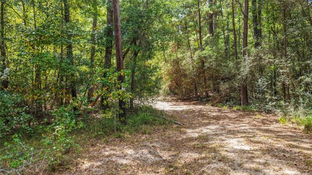1215 Trinlady Park Road, Trinity, TX 75862
