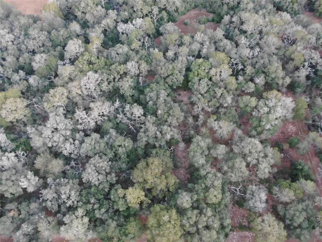 TBD Sandy Creek Drive, Garwood, TX 77442