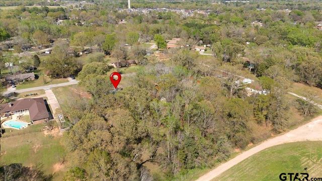 110 Leisure Ln, Whitehouse, TX 75791