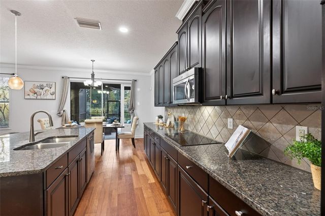 22774 CHEROKEE ROSE PLACE, Land O Lakes, FL 34639