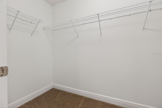 22774 CHEROKEE ROSE PLACE, Land O Lakes, FL 34639