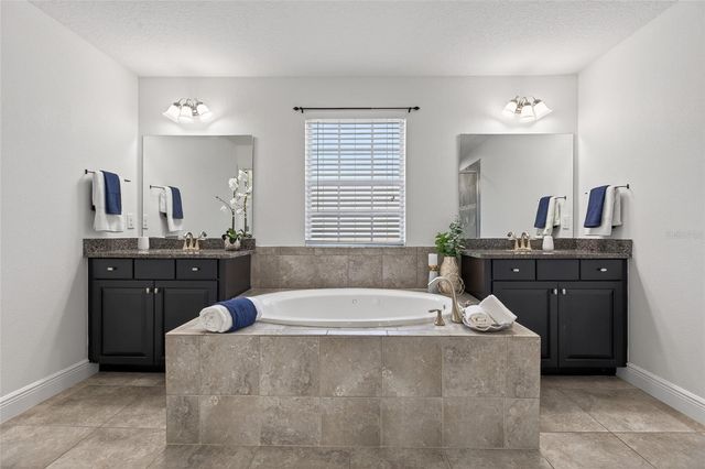 22774 CHEROKEE ROSE PLACE, Land O Lakes, FL 34639