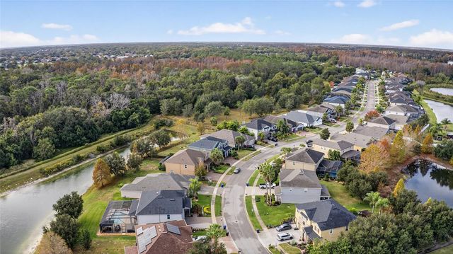 22774 CHEROKEE ROSE PLACE, Land O Lakes, FL 34639