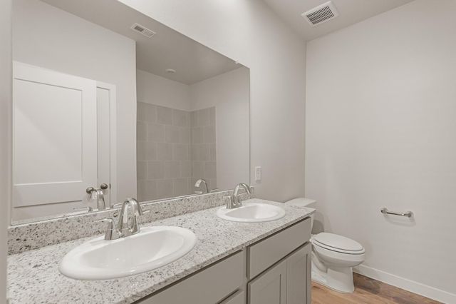 29019 Windmill Glen Lane, Waller, TX 77484