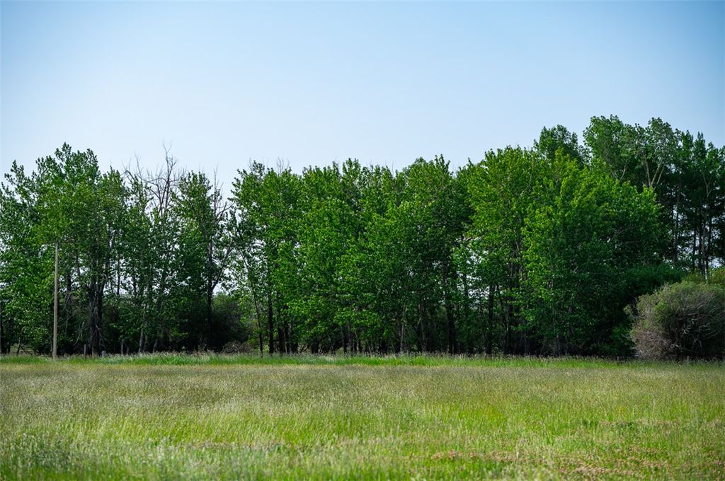 120 Cooney ROAD, Roberts, MT 59070 photo 14