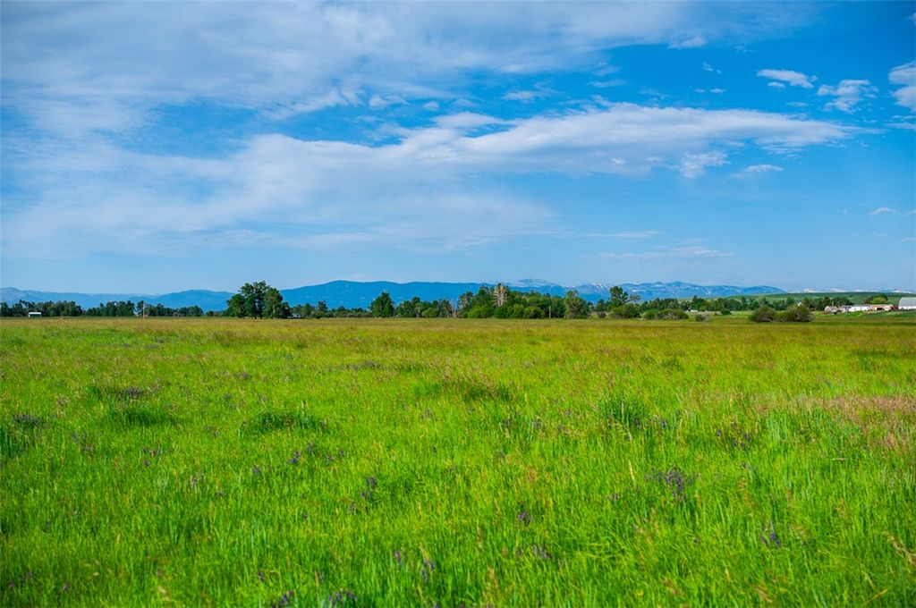 120 Cooney ROAD, Roberts, MT 59070 photo 6