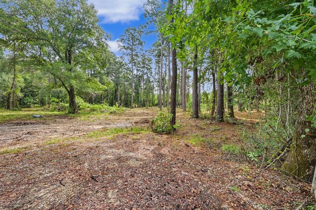 480 County Road 3188, Cleveland, TX 77327