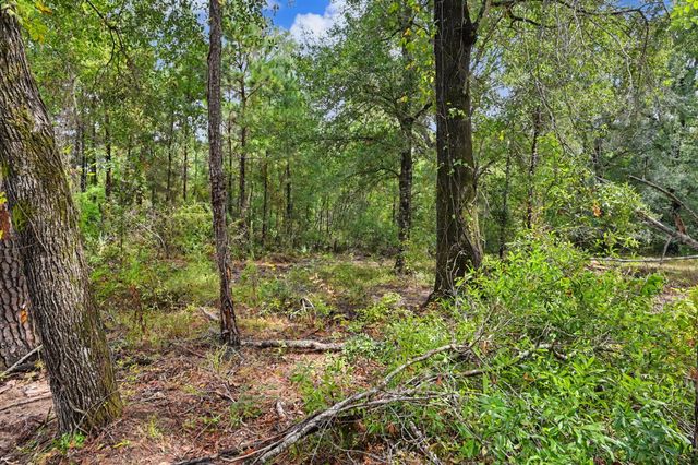 480 County Road 3188, Cleveland, TX 77327