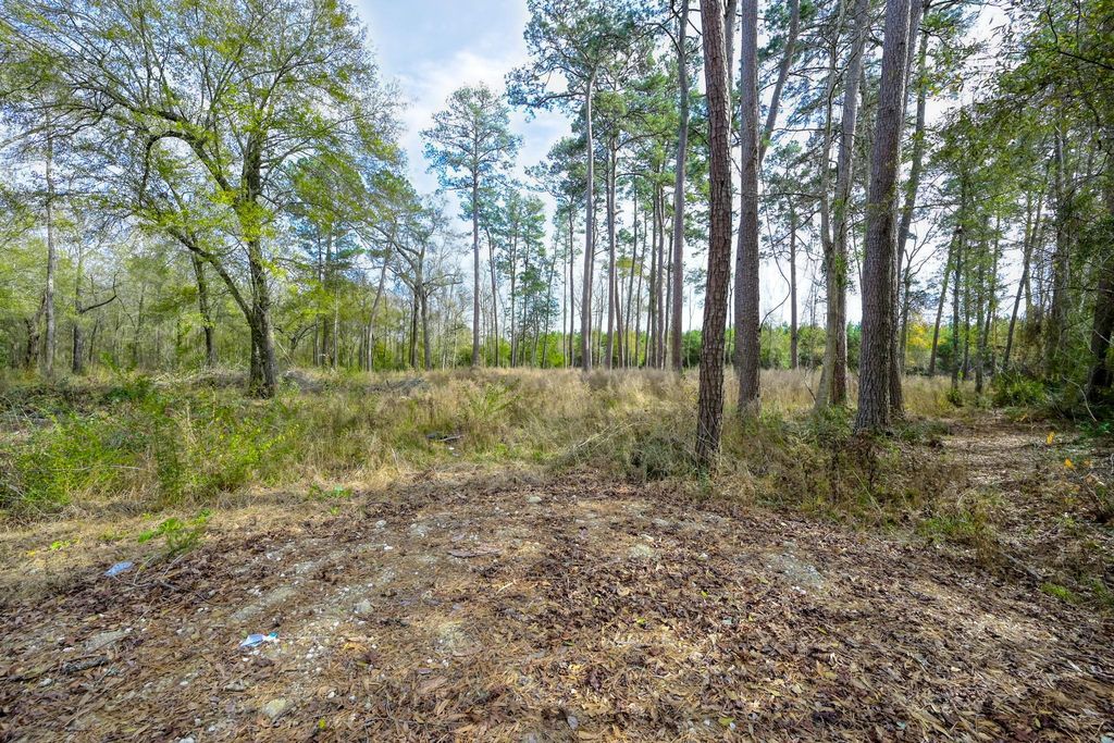 480 County Road 3188, Cleveland, TX 77327