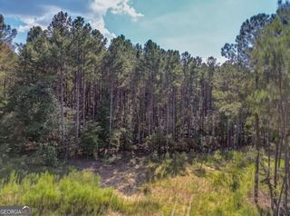 0 Government Farm Road, Rockmart, GA 30153