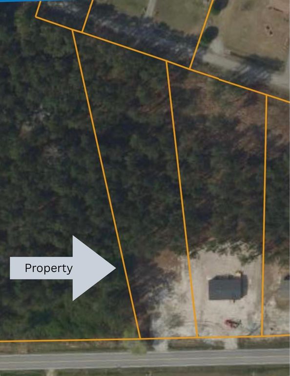 3673 Nichols Hwy., Galivants Ferry, SC 29544 — photo 2