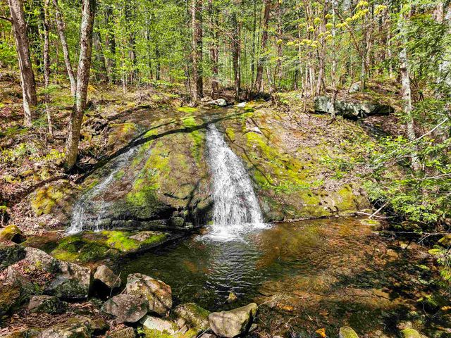 1905 Turkey Mountain Road, Jamaica, VT 05343