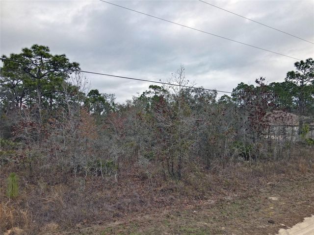 0 SEATTLE WREN AVENUE, Brooksville, FL 34614