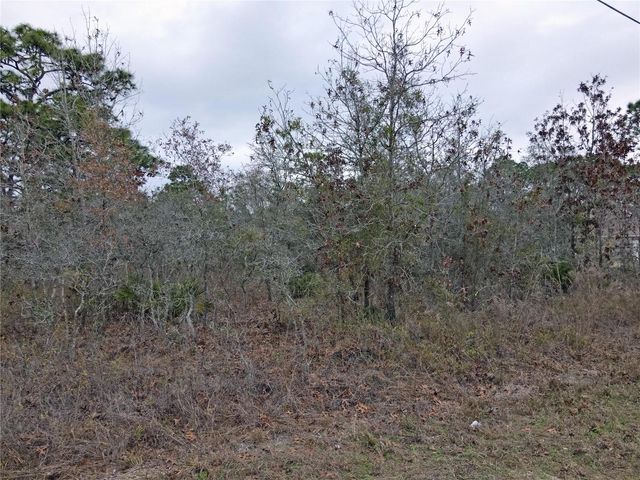 0 SEATTLE WREN AVENUE, Brooksville, FL 34614