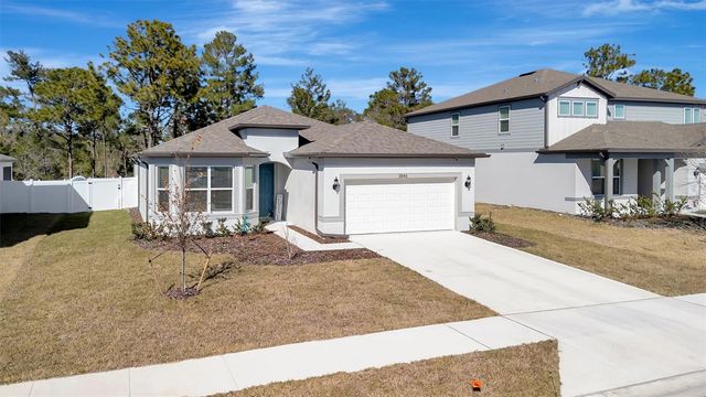 3846 OBSIDIAN DRIVE, Spring Hill, FL 34609