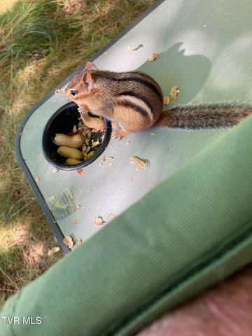 1527 Edgemont Avenue, Bristol, TN 37620