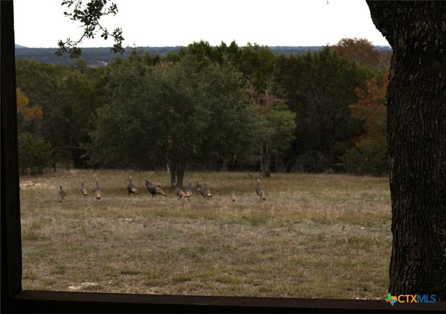 424 Panther Creek Road, Kempner, TX 76539