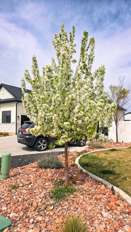 3118 W 1600 N, Clinton, UT 84015