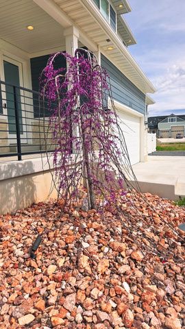 3118 W 1600 N, Clinton, UT 84015