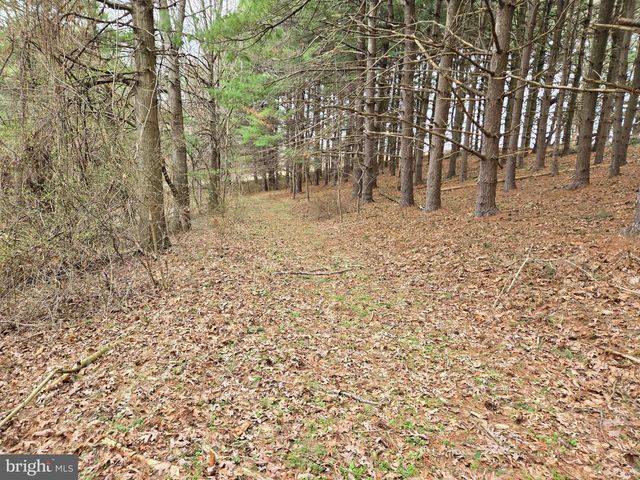 FARMINGTON, Woodbine, MD 21797