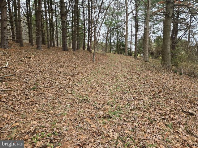 FARMINGTON, Woodbine, MD 21797