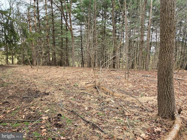 FARMINGTON, Woodbine, MD 21797