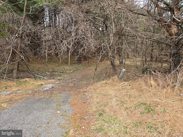 FARMINGTON, Woodbine, MD 21797