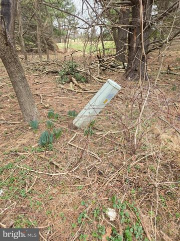FARMINGTON, Woodbine, MD 21797