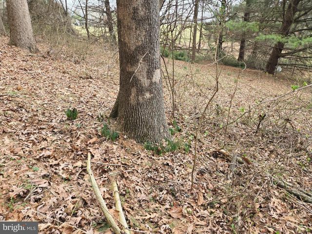 FARMINGTON, Woodbine, MD 21797