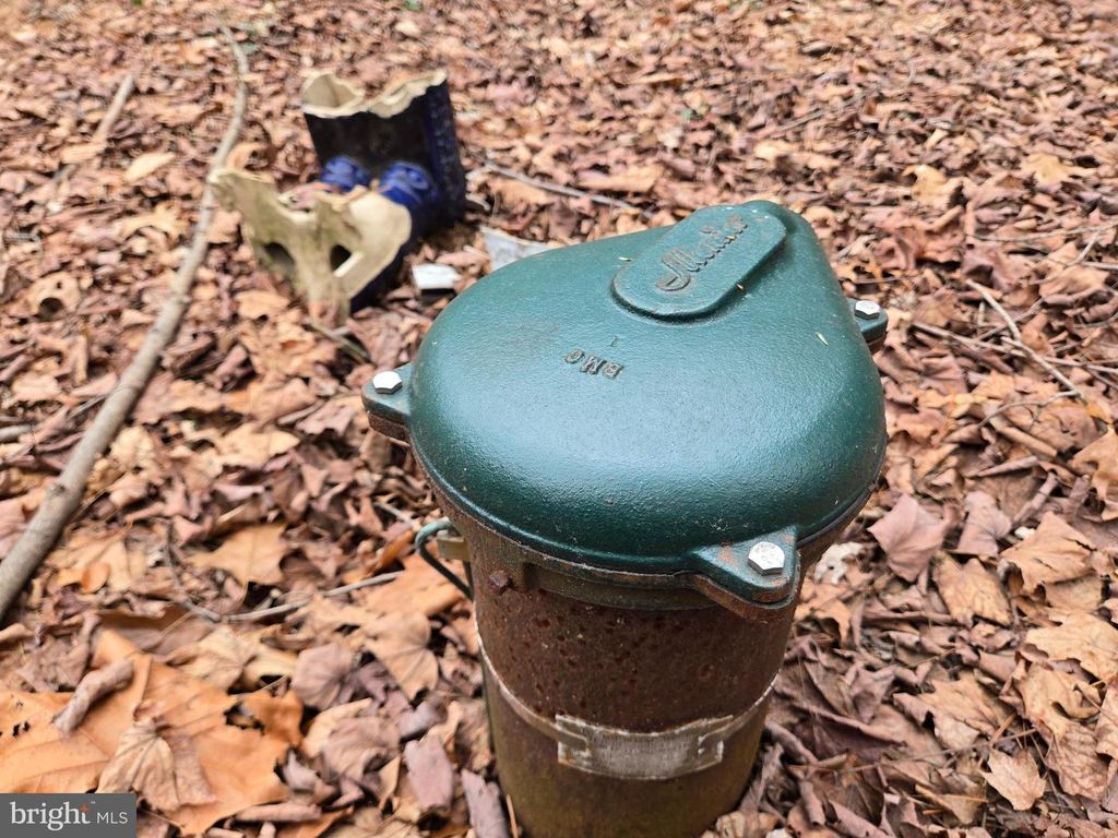 Image 18 of property listing at FARMINGTON, Woodbine, MD 21797