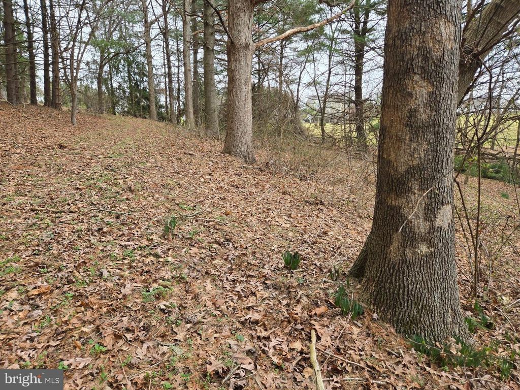 Image 28 of property listing at FARMINGTON, Woodbine, MD 21797