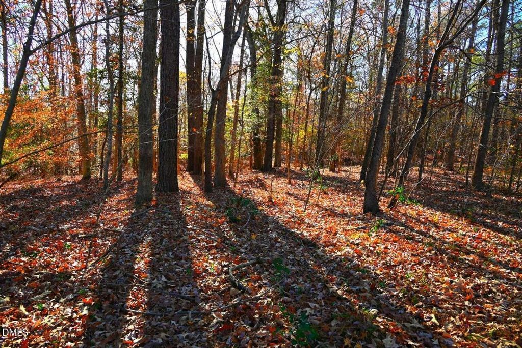 00 Creedmoor Road, Wake Forest, NC 27587