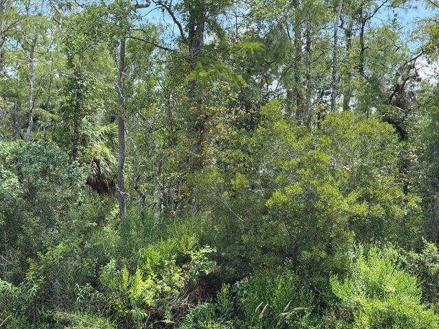 TUNBRIDGE STREET, Orlando, FL 32833