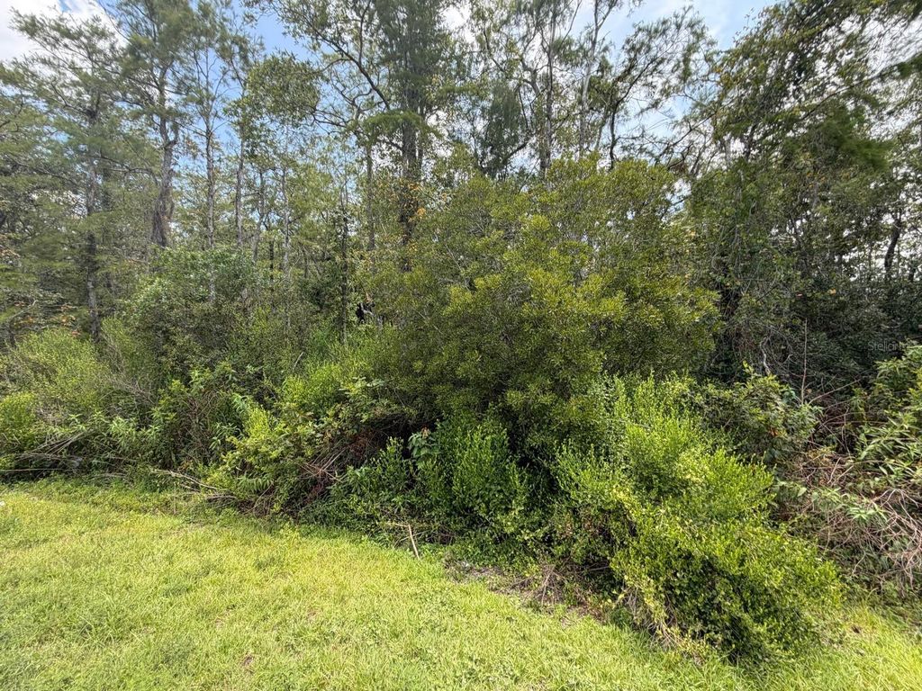 TUNBRIDGE STREET, Orlando, FL 32833