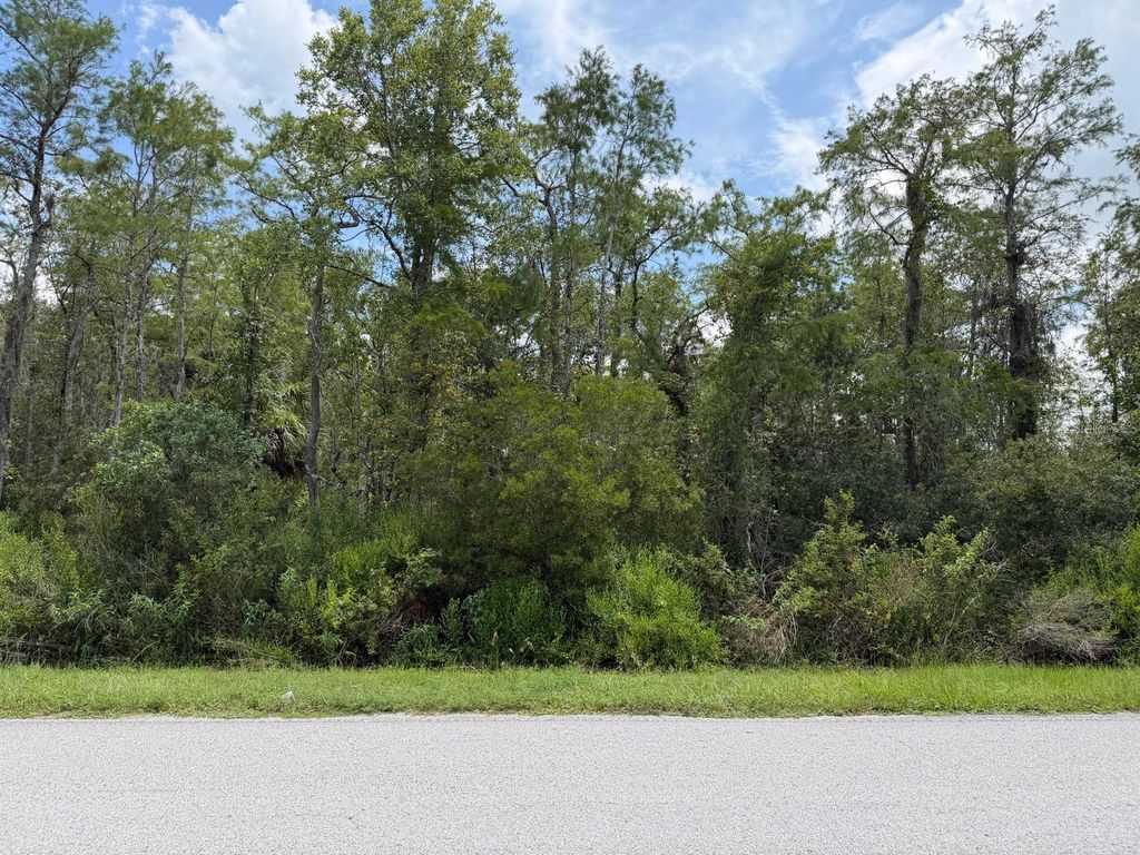 Image 2 of property listing at TUNBRIDGE STREET, Orlando, FL 32833