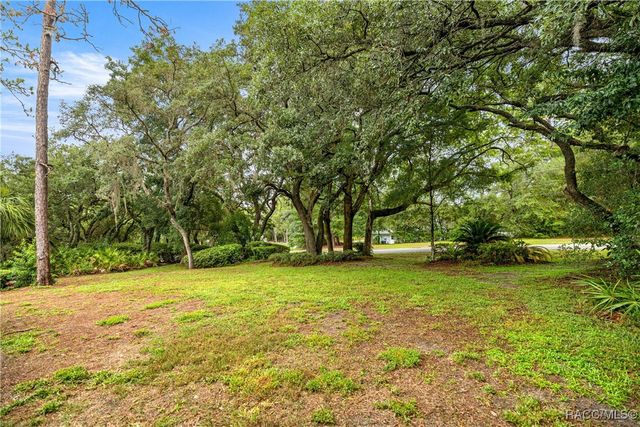 5209 N Red Ribbon Point, Beverly Hills, FL 34465